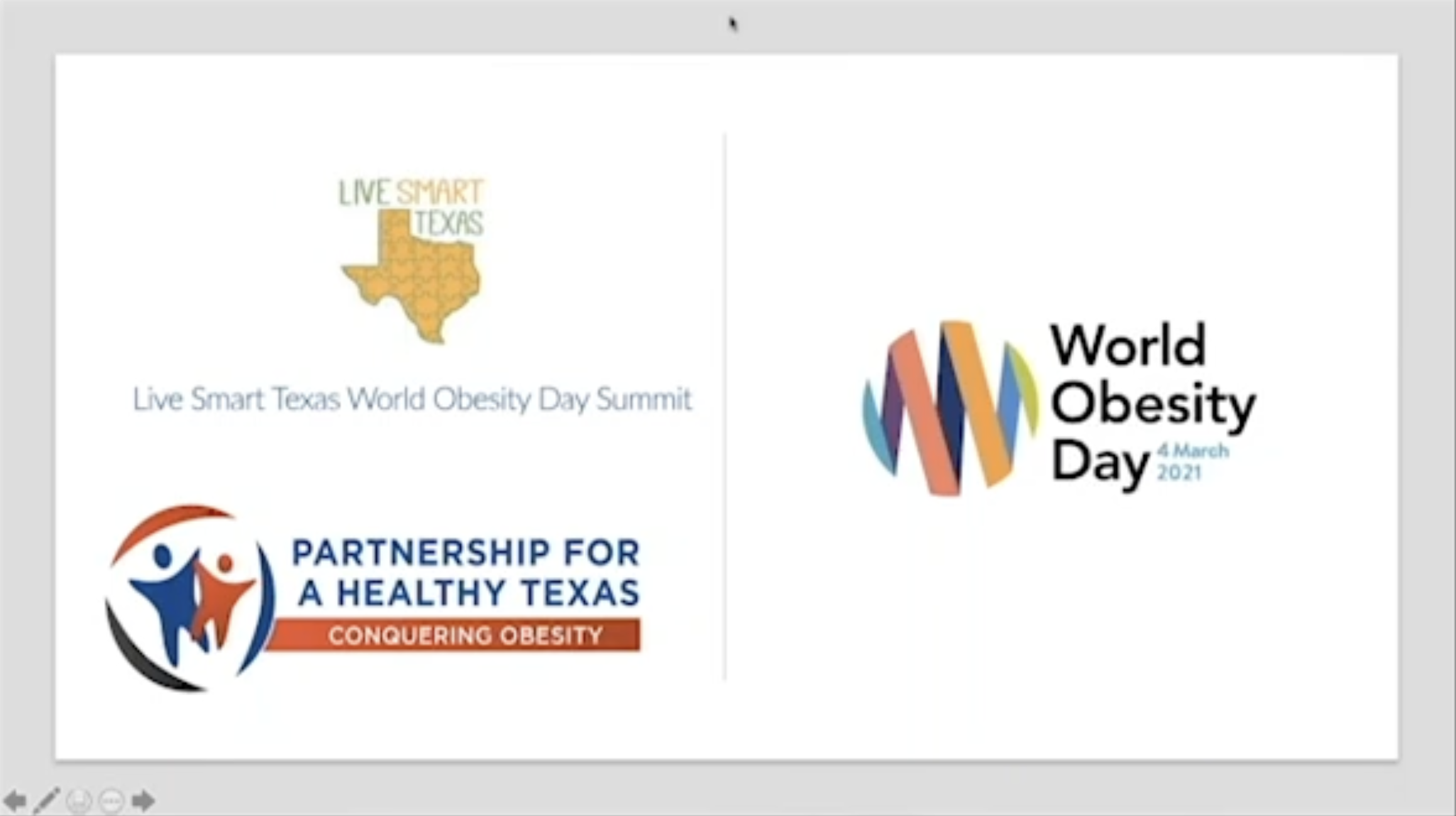 World Obesity Day Summit.png